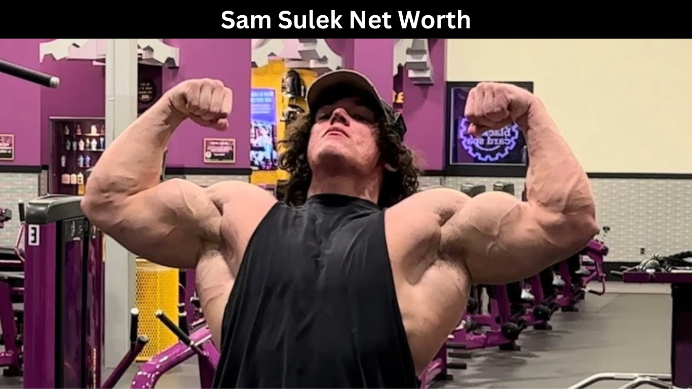 Sam Sulek Net Worth