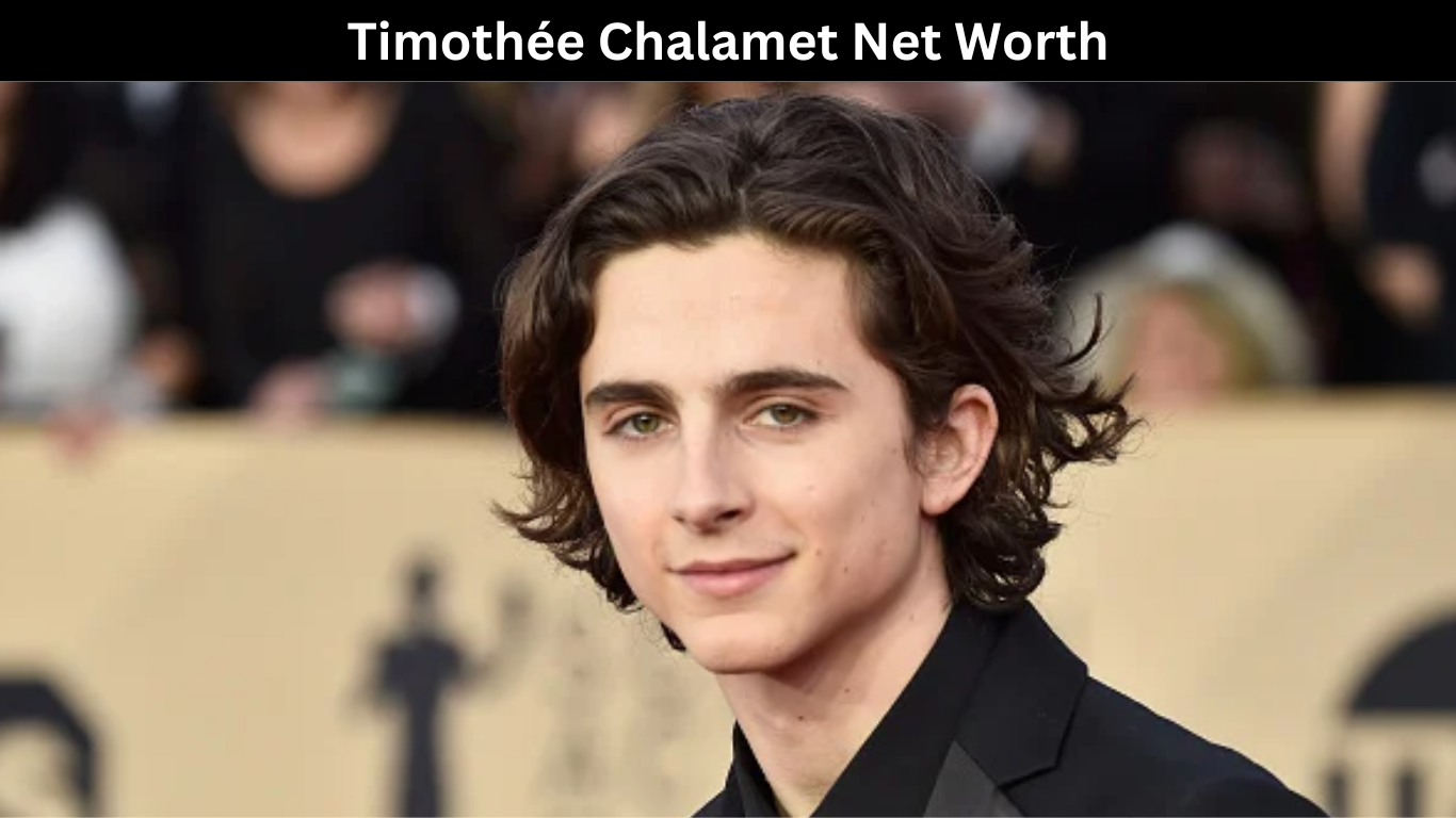Timothée Chalamet Net Worth